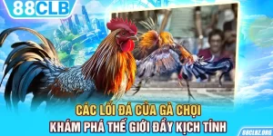 Các Lối Đá Của Gà Chọi - Khám Phá Thế Giới Đầy Kịch Tính