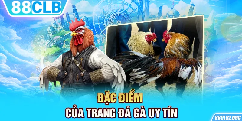 Đặc điểm của trang đá gà uy tín