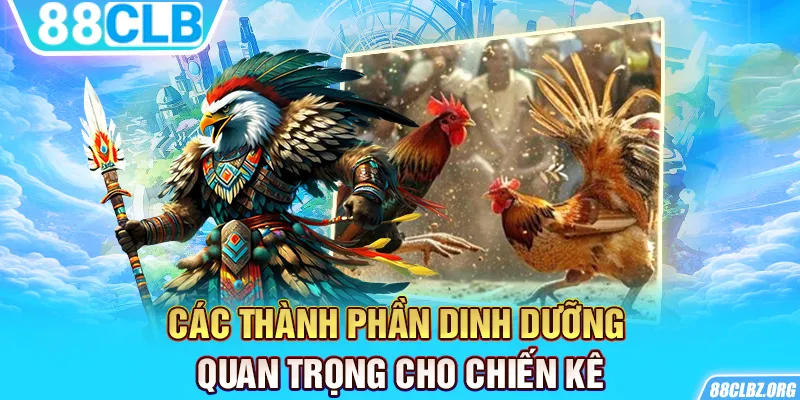 Các thành phần dinh dưỡng quan trọng cho chiến kê