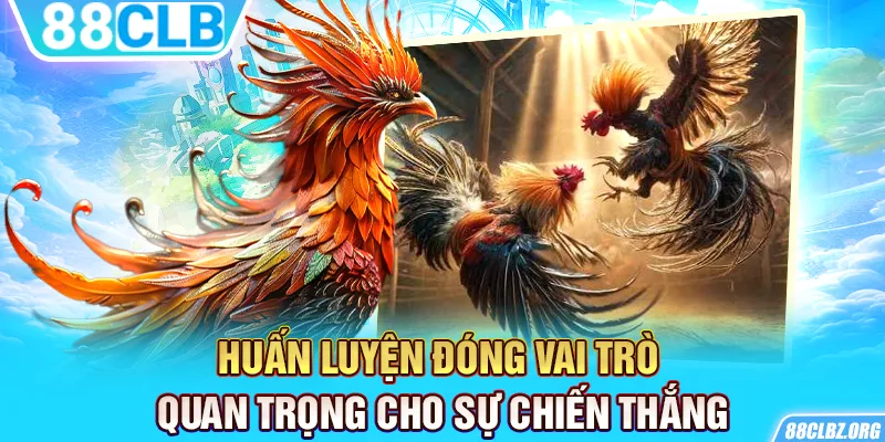 Huấn luyện đóng vai trò quan trọng cho sự chiến thắngHuấn luyện đóng vai trò quan trọng cho sự chiến thắng