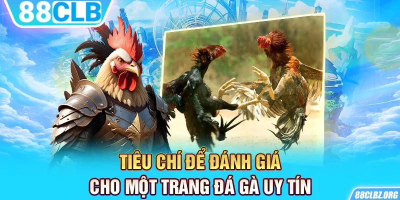 Tiêu chí để đánh giá cho một trang đá gà uy tín