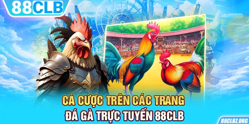 Cá cược trên các trang đá gà trực tuyến 88CLB