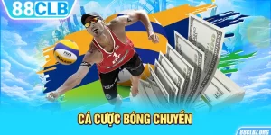 Cá Cược Bóng Chuyền - Bí Quyết Soi Kèo Đỉnh Cao Cho Tân Thủ