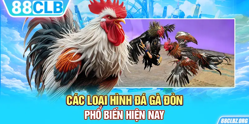 Các loại hình đá gà đòn phổ biến hiện nay