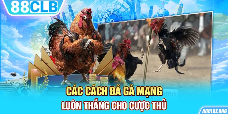 Các cách đá gà mạng luôn thắng cho cược thủ