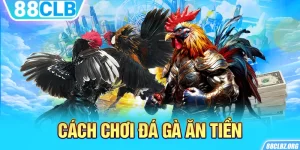 Cách Chơi Đá Gà Ăn Tiền Đơn Giản Và Dễ Dàng Tham Gia