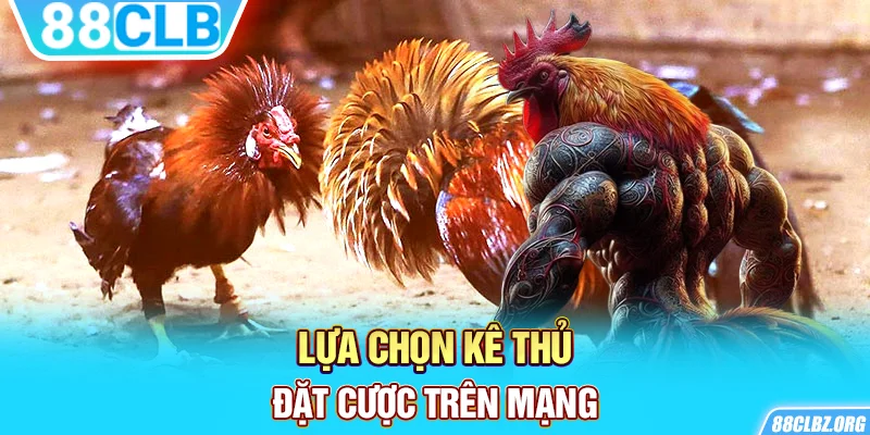 Lựa chọn kê thủ đặt cược trên mạng