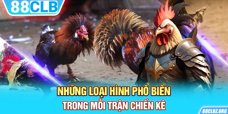 Những loại hình phổ biến trong mỗi trận chiến kê